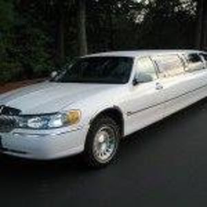 Meet your Posher, Wayne